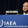 IAEA cam kết ưu tiên hỗ trợ Việt Nam trong lĩnh vực điện hạt nhân