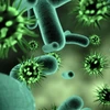 Australia đối mặt với nguy cơ virus đe dọa an toàn sinh học