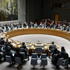 Trung Quốc ủng hộ dự thảo nghị quyết về vấn đề Palestine