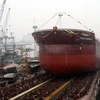 Khai thác tuyến vận tải container nối Hải Phòng với Hàn Quốc 