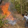 Cháy rừng liên tiếp ở Cao Bằng vì người dân đốt vàng mã
