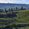 Một trang trại ở vùng Tuscany, miền Trung Italy. (Nguồn: Viaggi)