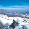 Trượt tuyết tại Pyeongchang. (Nguồn: wiki) 