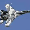 Một chiếc SU-27 của Nga. (Nguồn: wiki)