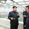 Nhà lãnh đạo Triều Tiên Kim Jong-Un tại công viên thủy sinh. (Nguồn: Getty)