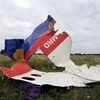 Xác máy bay MH17 tại Shaktarsk, miền đông Ukraine ngày 18/7/2014. (Nguồn: AFP/TTXVN)
