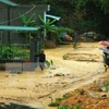 Nước lũ từ trên đồi đổ xuống nhà các hộ dân tại phường Hồng Hà (Hạ Long). (Ảnh: Nguyễn Hoàng/TTXVN)