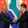 Chủ tịch Trung Quốc Tập Cận Bình (phải) hội đàm với Tổng thống Nam Phi Jacob Zuma. (Nguồn: AFP/TTXVN)