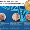 [Infographics] Cơ chế sửa chữa ADN hư hại giành giải Nobel Hóa học