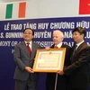 Phó Thủ tướng Hoàng Trung Hải trao tặng Huân chương chương Hữu nghị cho chuyên gia năng lượng Ireland John S.Gunning. (Ảnh: Ngọc Hà/TTXVN)