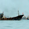 Tàu đánh cá Trung Quốc đánh bắt trái phép ở ngoài khơi bờ biển phía tây Hàn Quốc hồi năm 2013. (Nguồn:Yonhap/ TTXVN)