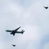 Chuyên cơ chở Chủ tịch nước Trương Tấn Sang được hai máy bay chiến đấu thuộc Không quân Đức hộ tống hạ cánh xuống sân bay quân sự Berlin-Tegel. (Nguồn: Twitter)