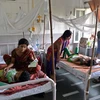 Bệnh nhân sốt xuất huyết được điều trị tại bệnh viện ở New Delhi. (Nguồn: AFP/TTXVN)