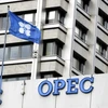 OPEC sẽ không có kế hoạch điều chỉnh sản lượng dầu mỏ