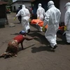 Các nước Tây Phi kêu gọi quốc tế viện trợ sau đại dịch Ebola