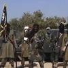 Mỹ cam kết tiếp tục giúp Nigeria đối phó với nhóm Boko Haram
