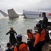 Lực lượng cứu hộ làm nhiệm vụ tại hiện trường một vụ rơi máy bay Boeing 737 của Hãng hàng không Lion Air ở gần Denpasar, Indonesia ngày 14/5/2013. (Ảnh: AFP/ TTXVN)