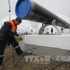 Công nhân kiểm tra một phần đường ống dẫn khí trước lễ khởi công dự án "Dòng chảy phương Nam" tại thị trân Anapa (Nga). (Nguồn: AFP/TTXVN)