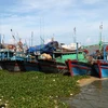9 ngư dân Phú Yên gặp nạn trên biển đã vào bờ an toàn