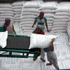 Cần Thơ phấn đấu xuất khẩu 1 triệu tấn gạo năm 2014