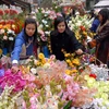 Mở rộng chợ hoa Tết truyền thống phố Hàng Lược