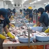Dự luật nông trại Mỹ: Cơ hội tái cơ cấu cho cá tra Việt Nam