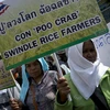Thái Lan: "Không thể" khôi phục kế hoạch trợ giá gạo