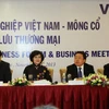 Mông Cổ sẵn sàng hợp tác với Việt Nam trên mọi lĩnh vực