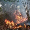 Nguy cơ cháy rừng ở cấp cực nguy hiểm ở Bình Thuận
