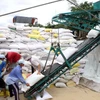 Việt Nam tham gia đấu thầu cung cấp gạo cho Philippines