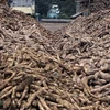 Tây Ninh sắp có thêm 3 nhà máy sản xuất sản phẩm sau tinh bột sắn