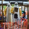 Kenya cấm du khách đến từ 3 nước bùng phát dịch bệnh Ebola