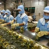 Việt Nam trước cơ hội lớn xuất khẩu nông sản, thực phẩm sang Nga