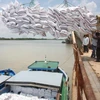 Indonesia sẽ nhập khẩu 200.000 tấn gạo của Việt Nam