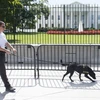 Nhà Trắng yêu cầu Cơ quan mật vụ giải trình về lỗ hổng an ninh