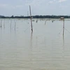Đồng Nai: Truy tìm cá sấu xổng chuồng trong hồ Trị An