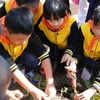 Đoàn học sinh tiểu học tỉnh Bắc Ninh tham quan tại Hàn Quốc