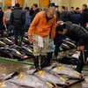 Nhật Bản dự kiến nâng mức phạt đối với đánh bắt trộm hải sản