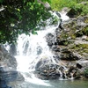 Đắk Nông: Sớm đưa điểm du lịch thác Trinh Nữ hoạt động trở lại