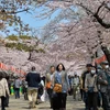 Mở rộng miễn phí wifi nhằm thu hút du khách quốc tế tại Nhật Bản