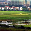 Đất ở tại Nghệ An có mức giá tối đa 51 triệu đồng mỗi m2