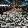 Hàn Quốc-Nhật Bản đạt thỏa thuận về hạn ngạch đánh bắt cá