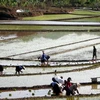 Sơn La: Chủ động trữ và quản lý khai thác nguồn nước thủy lợi 