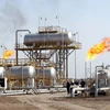 Iraq và tập đoàn Shell xây nhà máy hóa dầu lớn nhất Trung Đông
