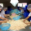 Kết nối doanh nghiệp Việt kiều để đa dạng hóa thị trường nông sản