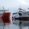 Các công ty Hàn Quốc giúp Nga đóng tàu phá băng chở dầu-khí