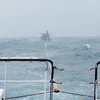 Đà Nẵng: Khẩn trương cứu thuyền viên tàu ĐNa 90350TS gặp nạn