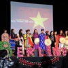 Hội sinh viên Việt Nam tại Berlin tổ chức mừng Xuân Ất Mùi