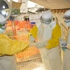 Cuba tuyên bố hoàn thành nhiệm vụ quốc tế chống Ebola tại châu Phi