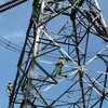 Xà lan va chạm đứt đường dây 220kV, hàng trăm hộ dân mất điện